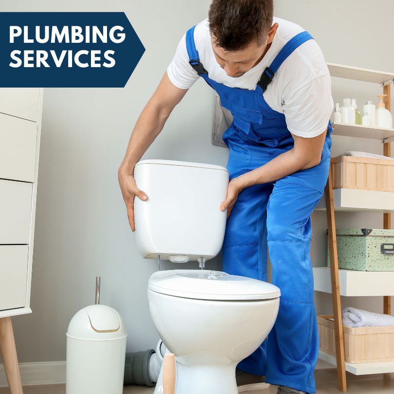 Plumbing Company in Curtis, MI